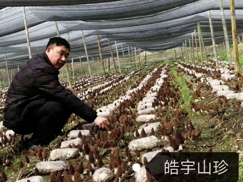 &#24517;&#36194;&#22312;&#32447;&#23458;&#26381;&#45;&#24517;&#36194;&#40;&#20013;&#22269;&#41;