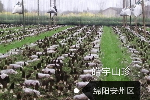 &#24517;&#36194;&#22312;&#32447;&#23458;&#26381;&#45;&#24517;&#36194;&#40;&#20013;&#22269;&#41;
