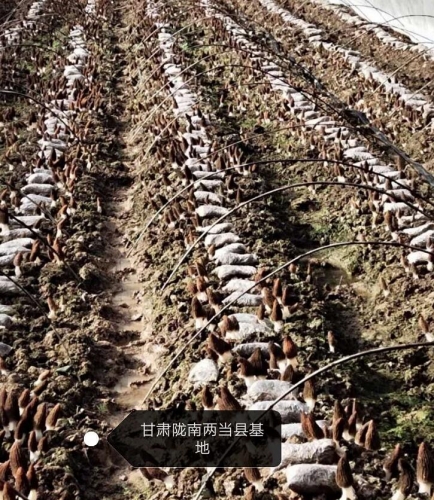&#24517;&#36194;&#22312;&#32447;&#23458;&#26381;&#45;&#24517;&#36194;&#40;&#20013;&#22269;&#41;
