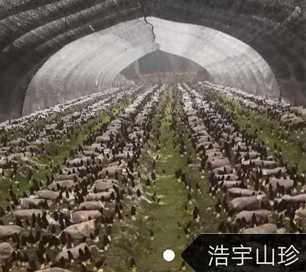 &#24517;&#36194;&#22312;&#32447;&#23458;&#26381;&#45;&#24517;&#36194;&#40;&#20013;&#22269;&#41;