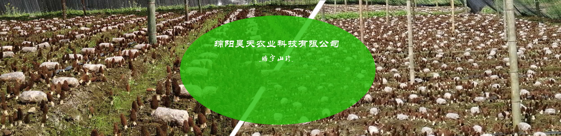 &#24517;&#36194;&#22312;&#32447;&#23458;&#26381;&#45;&#24517;&#36194;&#40;&#20013;&#22269;&#41;