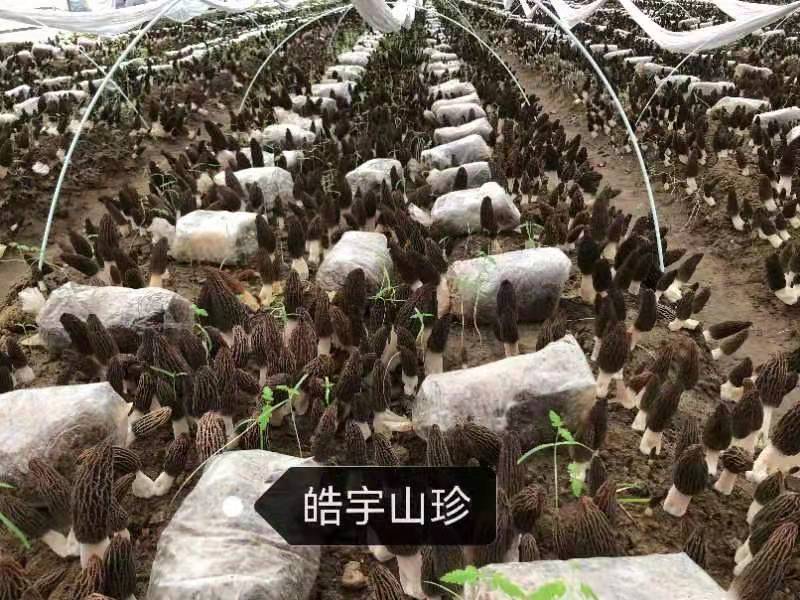 &#24517;&#36194;&#22312;&#32447;&#23458;&#26381;&#45;&#24517;&#36194;&#40;&#20013;&#22269;&#41;